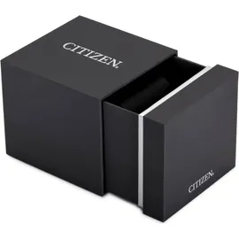 Citizen Eco-Drive FE1220-89L Edelstahl 36 mm