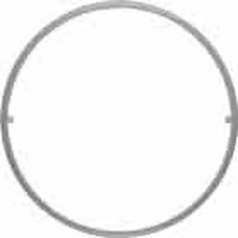 Berker Zierring pws 113909