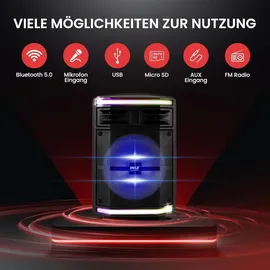 Pyle Audio Partybox schwarz