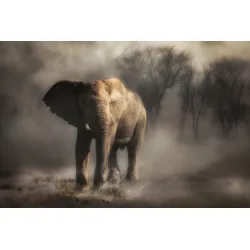 Fototapete PAPERMOON "Photo-Art CHARLAINE GERBER, ELEFANT TRINKWASSER", bunt, B:4,00m L:2,60m, Vlies, Tapeten