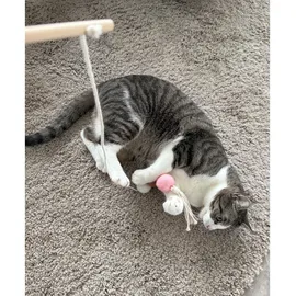 Aumüller Katzenspielangel Filoa