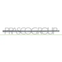 PRASCO Zier-/Schutzleiste, Tür VG0211414