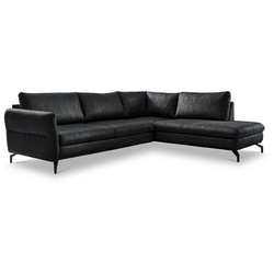 Exxpo by Gala Ecksofa Maestro Mikrofaser Anthracite