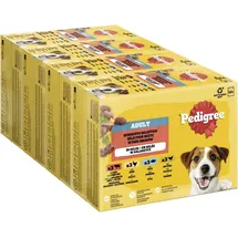PEDIGREE Hundefutter Portionsbeutel Chunks in Gelee Adult 4 x 12 x 100 g