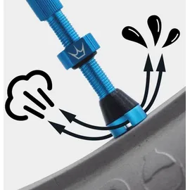 Peaty's x Chris King Tubeless Ventil Set 42 mm grau