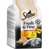 Sheba Fresh & Fine in Sauce - Hochwertiges Katzen Nassfutter - Huhn und Truthahn - Für die tägliche Abwechslung im extra kleinen Portionsbeutel- 36 x 50g