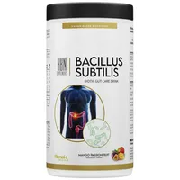 HBN Supplements - Bacillus Subtilis Biotic Gut Care Drink 600 g Dose, Mango