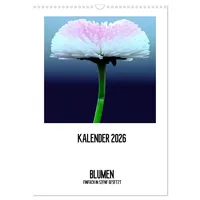 Calvendo BLUMEN EINFACH IN SZENE GESETZT (Wandkalender 2026 DIN