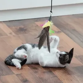 Schlitzohr Katzenangel Federanhänger 5x