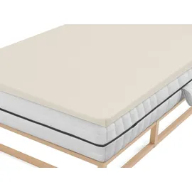 biberna 0077641 Jersey-Elastic-Topper 90 x 190 - 100 x 220 cm hellgrau