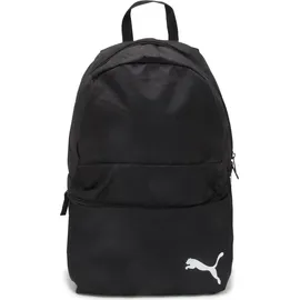 Puma teamGOAL 23 puma black