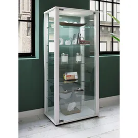 VCM Holz Glas Stand Vitrine Sammelvitrine Kavisa L