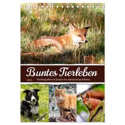 Buntes Tierleben (Tischkalender 2025 DIN A5 hoch), CALVENDO Monatskalender