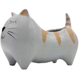Dekohelden24 Katze 21 x 12 x 14 cm Hellgrau