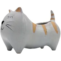 Dekohelden24 Katze 21 x 12 x 14 cm Hellgrau