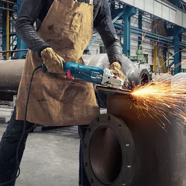 Bosch GWS 24-230 JZ Professional