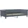 vidaXL Tagesbett 100 x 200 cm Dunkelgrau