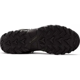 Columbia Newton Ridge Plus II Waterproof Herren Black/Black 42,5