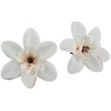 10x Künstliche Blumen Orchidee,8cm Seidenblume Köpfe KunstOrchidee,Kunstblumen Orchidee,Künstlich Blumenkopf Deko-Blüten Orchideeblumen für Thanksgiving Party Tischdeko DIY Kleidung Deko,reines Weiß