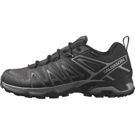 Salomon Herren X Ultra Pioneer Gore-tex Hiking Shoe, Phantom Black Quiet Shade, 42 EU