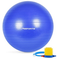MSports® Gymnastikball Gymnastikball Anti Burst inkl. Pumpe + Workout App GRATIS 55 cm - 105 cm Sitzball - Fitnessball inkl. Übungsposter blau Ø 95 cm