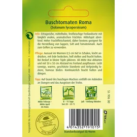 Quedlinburger Buschtomate Roma