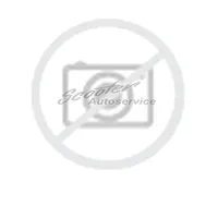 SAILUN Ice Blazer Arctic Evo 285/45 R21 113T XL