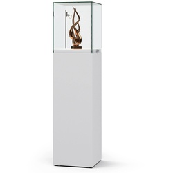 Ganzglas Haubenvitrine abschließbar JV.002H
