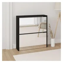 vidaXL Schuhschrank 63 x 67 x 17 cm mit Spiegel 2 Fächer schwarz