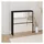 vidaXL Schuhschrank 63 x 67 x 17 cm mit Spiegel 2 Fächer schwarz