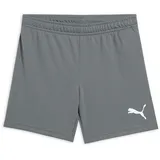Puma Teamrise Short Unisex Rauchfarben 176