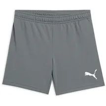 Puma Teamrise Short Unisex Rauchfarben 176