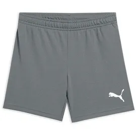 Puma Teamrise Short Unisex Rauchfarben 176