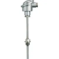 Jumo Widerstandsthermometer 00055919