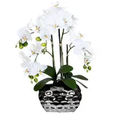 creativ-green Kunstpflanze Phalaenopsis in Keramikvase, 55 cm