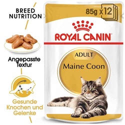 Royal Canin Maine Coon Adult Katzenfutter nass 85g