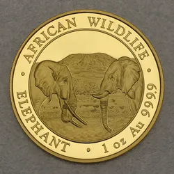 Goldmünze 1oz Elefant 2020 African Wildlife (Somalia)