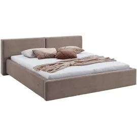 Meise Möbel Polsterbett Cube