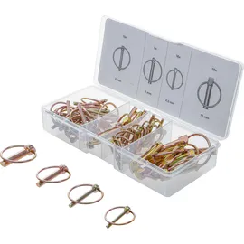 BGS Klappsplinte-Sortiment 50-tlg.