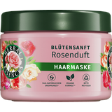 Herbal Essences Haarmaske Blütensanft Rosenduft