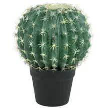 Europalms Kugelkaktus, 34cm