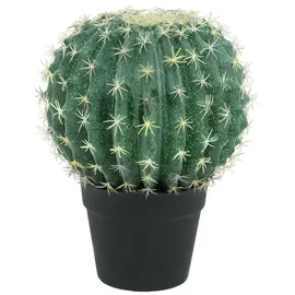 Europalms Kugelkaktus, 34cm
