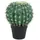 Europalms Kugelkaktus, 34cm