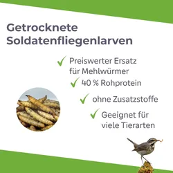 Soldatenfliegenlarven getrocknet ähnlich wie Mehlwürmer Proteine für Tiere im 5kg Sack