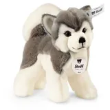 Steiff Bernie Husky