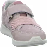 Ricosta rose 35