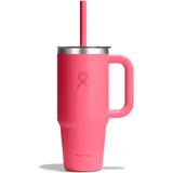Hydro Flask Thermobecher 0,71 l Rosa