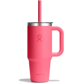 Hydro Flask Thermobecher 0,71 l Rosa