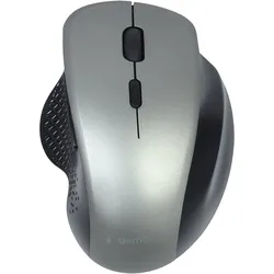 Gembird MUSW-6B-02-BG - Maus - ergonomisch - optisch - 6 Tasten - kabellos - 2.4