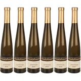 6x Spätburgunder Eiswein, 2018 - Weingut Bischofsmühle, Rheinhessen! Wein